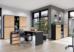 Outlet Aktenschrank Baltimore Büroschränke & Regale