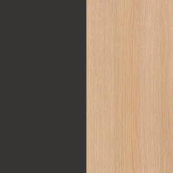 Outlet Aktenschrank Baltimore Büroschränke & Regale