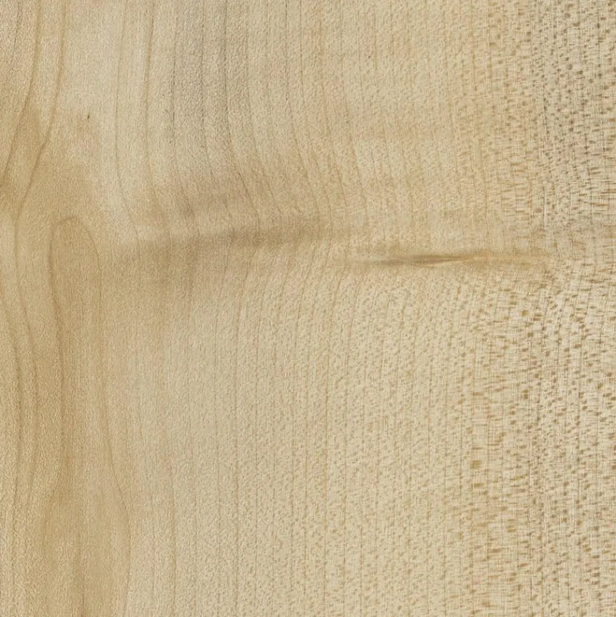 Mäusbacher Büroschränke & Regale|Aktenschrank Big Profi Office