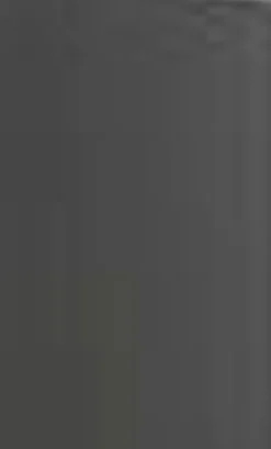 Stauraumelemente|Aufsatzschrank Asiago10