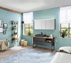 Puris Badregale|Badregal Aspekt