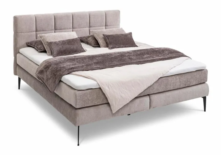Betten|Boxspringbett Adel 160 x 200 cm