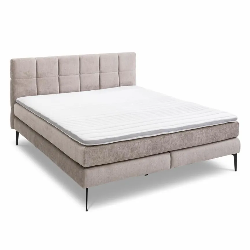 Betten|Boxspringbett Adel 160 x 200 cm