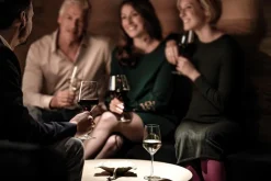 ZWIESEL GLAS Cabernetglas Pure 540 ml