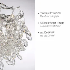 Paul Neuhaus Deckenleuchten|Deckenleuchte Ricicle