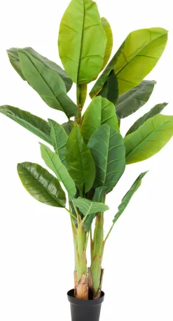 KARE DESIGN Grünpflanzen|Dekofiguren Tiere & Pflanzen|Deko Pflanze 64003 Banana Tree