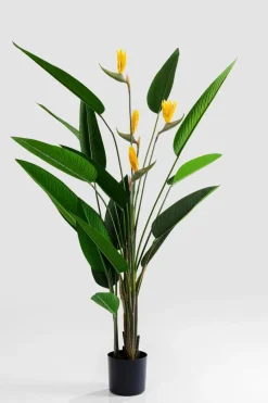 Discount Deko Pflanze 51684 Paradise Flowers Grünpflanzen|Dekofiguren Tiere & Pflanzen