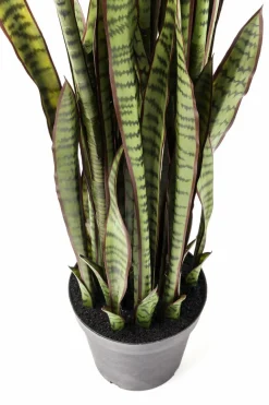 Outlet Deko Pflanze 60718 Sansewieria Grünpflanzen|Dekofiguren Tiere & Pflanzen
