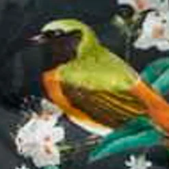 Madison Dekokissen Sadie