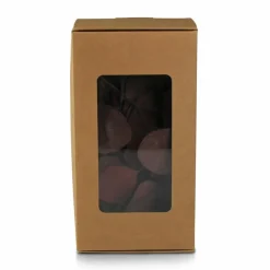 Hot Deko-Objekt Trockenblume - Apfel Grünpflanzen