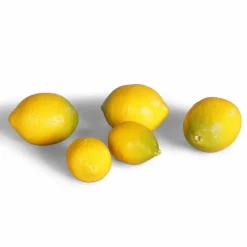 Dekofiguren|Deko-Objekt Zitronen 5tlg.