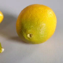 Dekofiguren|Deko-Objekt Zitronen 5tlg.