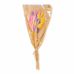 Grünpflanzen|Deko-Strauß Samtgras 50 cm