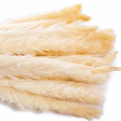 Grünpflanzen|Deko-Strauß Schilfrohr 50 cm