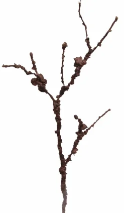 Grünpflanzen|Deko-Zweig 65 cm