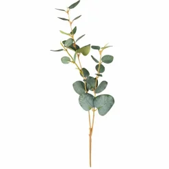 Grünpflanzen|Deko-Zweig Eukalyptus 48 cm