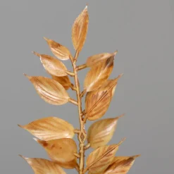 Online Deko-Zweig Ruscus 50 cm Grünpflanzen