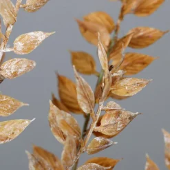 Online Deko-Zweig Ruscus 50 cm Grünpflanzen