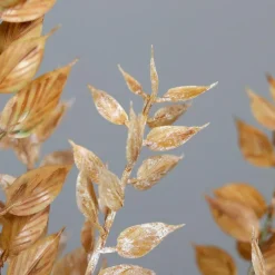 Online Deko-Zweig Ruscus 50 cm Grünpflanzen