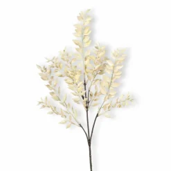 Deko-Zweig Ruscus 47 cm