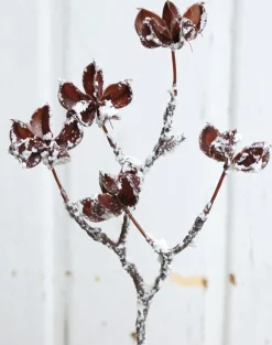 Deko-Zweig Samenkapsel 30 cm