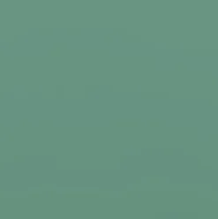 Rotho Einkaufskörbe & Taschen|Einkaufstasche Style 25l