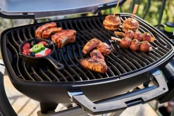 Online Elektrogrill TRAVELQ™ PRO285EX Napoleon Grills & Grillzubehör|Elektrogrills