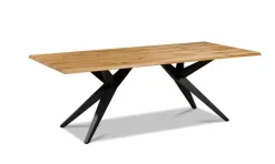 Hot Esstisch Tamina 220 x 100 cm Esstische