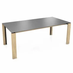 Mobitec Esstische|Esstisch Terra 220 x 100 cm