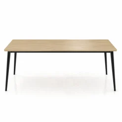 Mobitec Esstisch Core 200 x 100 cm