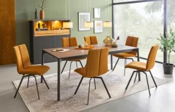 Venjakob Esstisch mit Auszug ET236 190/290 x 100 cm