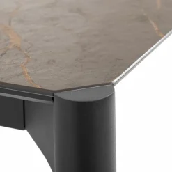 Venjakob Esstisch mit Auszug ET236 190/290 x 100 cm