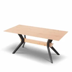 Outlet Esstisch T1002-1K 220 x 100 cm Esstische