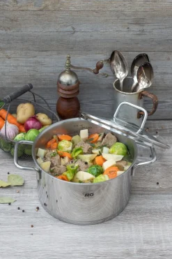 ELO Fleischtopf Citrin 24 cm