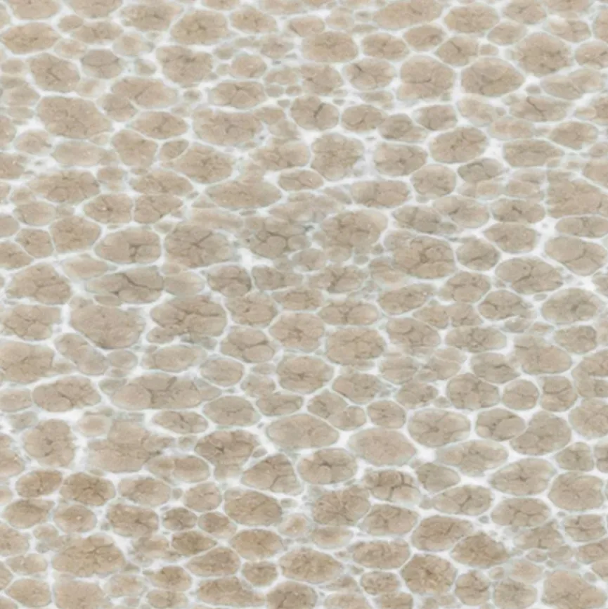 CreaTable Geschirr|Frühstücksteller Malmö Ø 21 cm