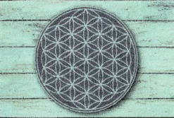 Wash & Dry Fußmatte Pattern of Life 40 x 60 cm