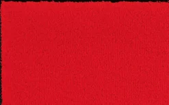 Discount Fußmatte Scarlet 50 x 75 cm Fußmatten