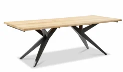 Musterring Gartentisch Holland 220 x 95 cm