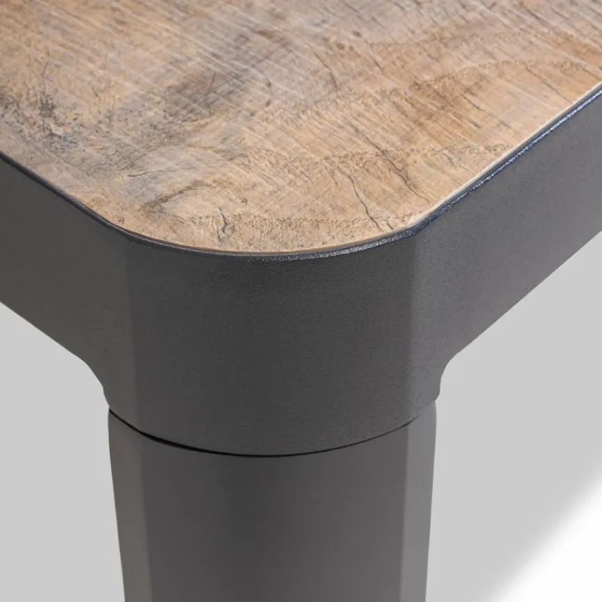 Gartentische|Gartentisch Luca 220x100cm, Aluminium