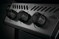 Napoleon Gasgrill Freestyle 365 m. Seitenbrenn