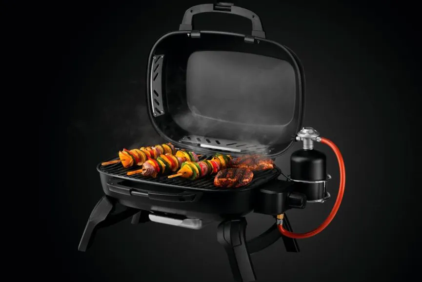 Napoleon Napoleon Grills & Grillzubehör|Gasgrill TRAVELQ™ 240