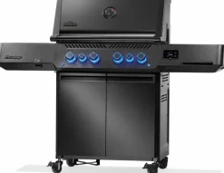 Napoleon Gasgrill Phantom Prestige® 500