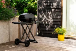 Napoleon Gasgrill Phantom TravelQ™ Pro 285X