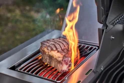 Napoleon Gasgrill Prestige® 500-Connected