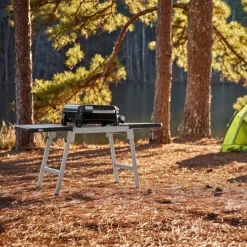 Weber Gasgrill Slate GP 43 cm