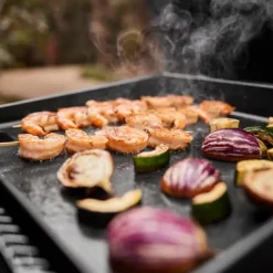 Weber Gasgrill Slate GP 43 cm