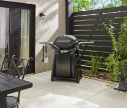 Weber Gasgrill -Q