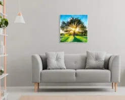 EUROART Bilder Ohne Rahmen|Bilder Nach Themen|Glasbild 50 x 50 cm Green trees IX