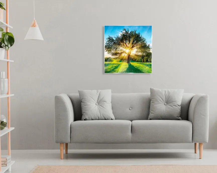 EUROART Bilder Ohne Rahmen|Bilder Nach Themen|Glasbild 50 x 50 cm Green trees IX