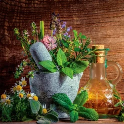 EUROART Glasbild 50 x 50 cm Herbs and spices XV